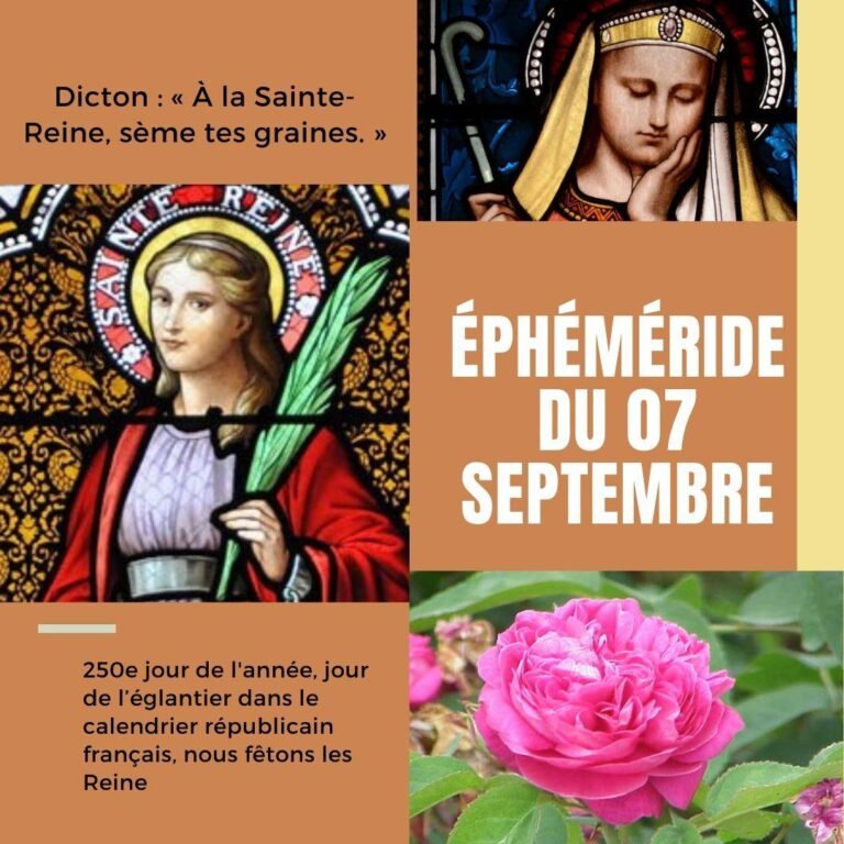 7 septembre, Sainte Reine