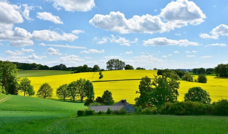 « Weenat » acquiert « Weather Measures »