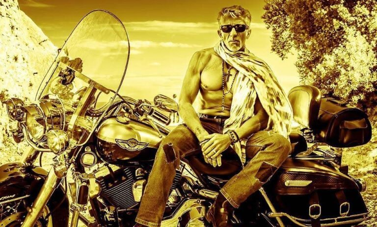 Les Soirées Estivales 2024 : Amarock Hommage À Johnny Hallyday