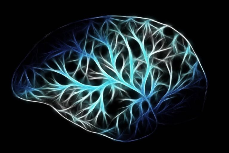 Prises de décisions et Neurosciences