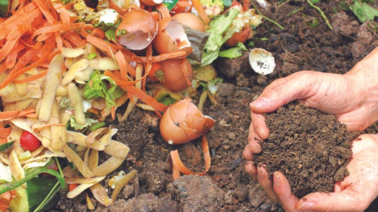 Tous au compost