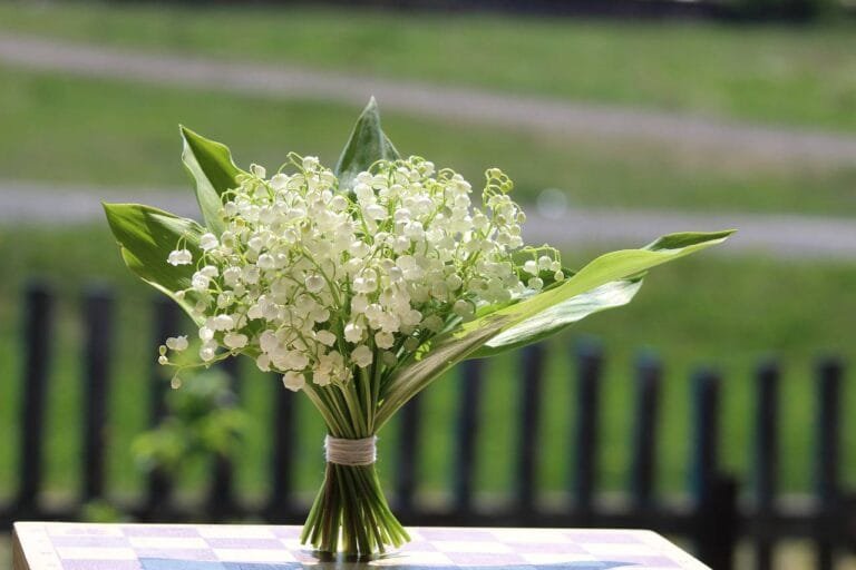 1er mai, Fête de l’amour !