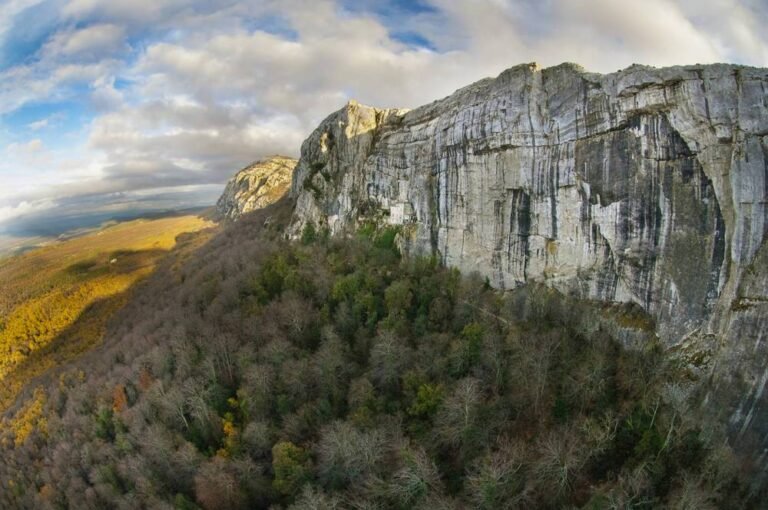 Forêt domaniale de la Sainte-Baume