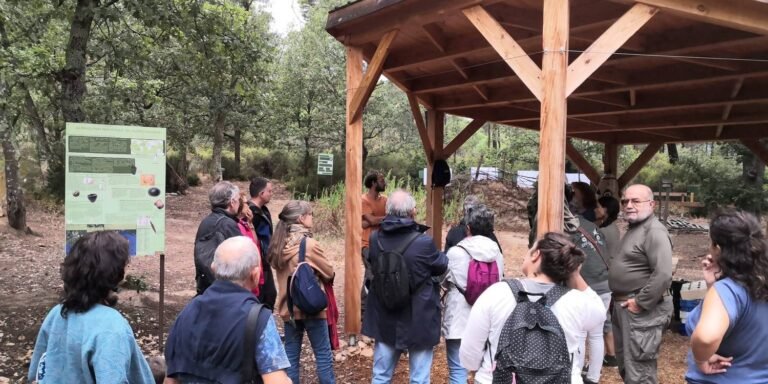 Journées européennes de l’Archéologie 2024