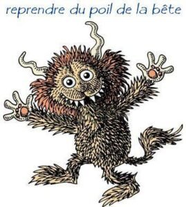 Reprendre du poil de la bête