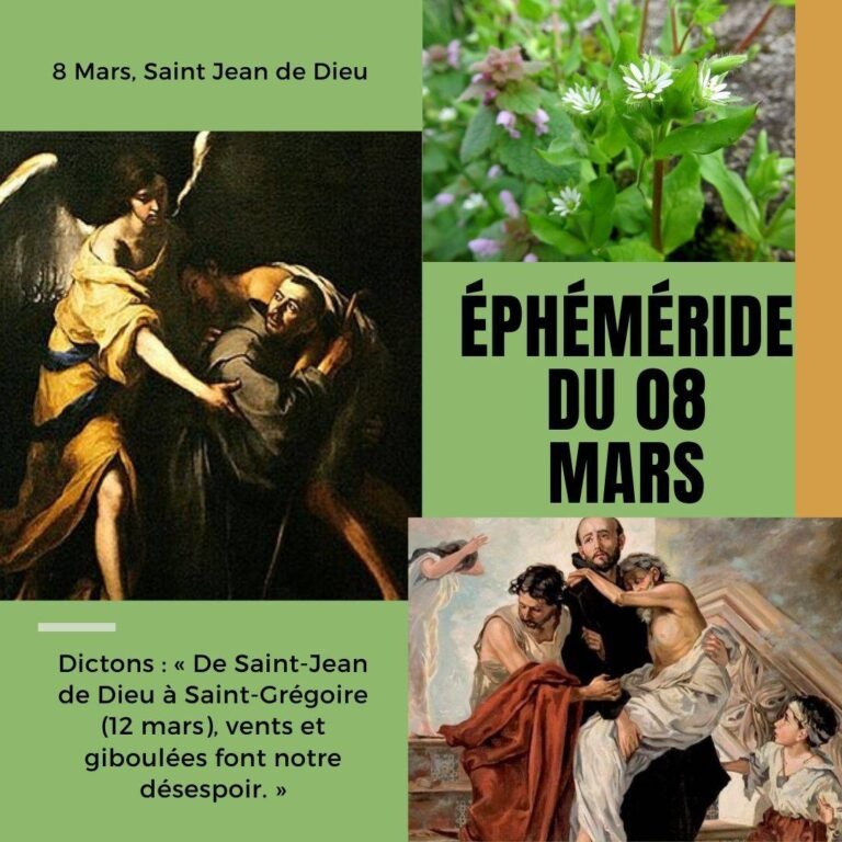 8 mars, Saint Jean de Dieu