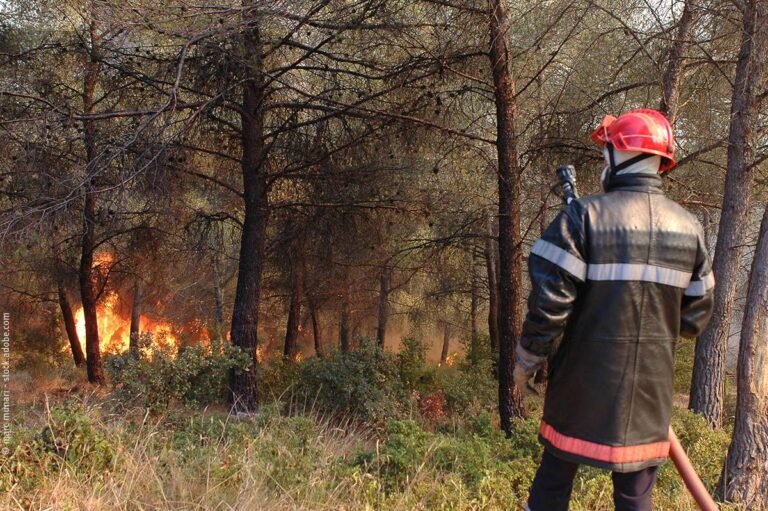Vigilance « feux de forêts »