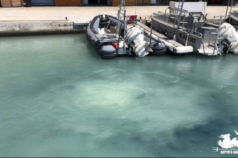 Les pollueurs seront les payeurs !