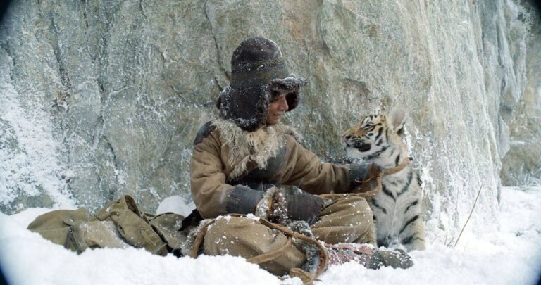 Cinéma Itinérant ; Le Nid du Tigre