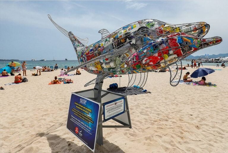 Le « Dauphin pédagogique »