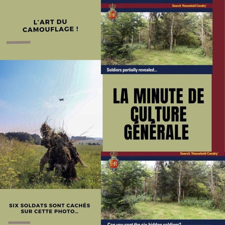 L’art du camouflage !