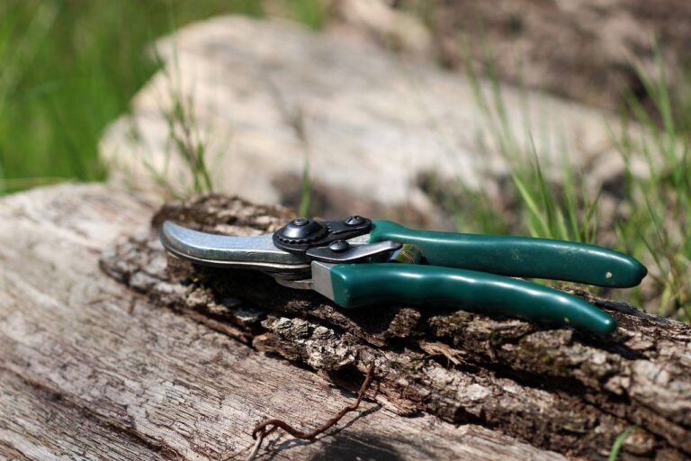 Rencontres Régionales d&rsquo;Arboriculture 2024