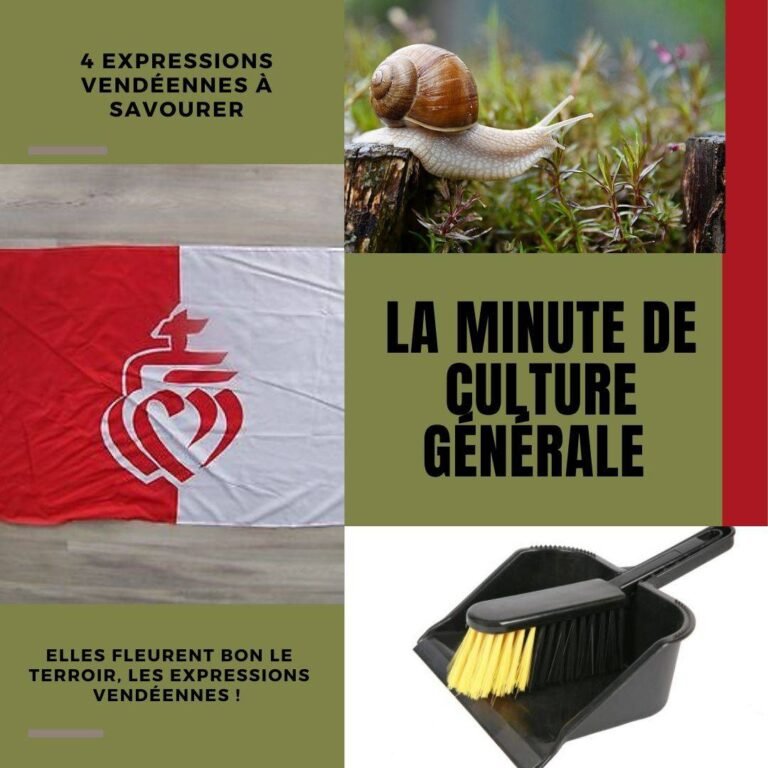 4 expressions vendéennes à savourer