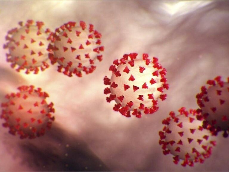 Point de situation Coronavirus