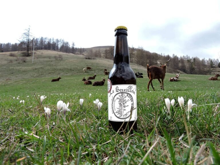 Une bière brassée avec l’eau du Mont Mounier