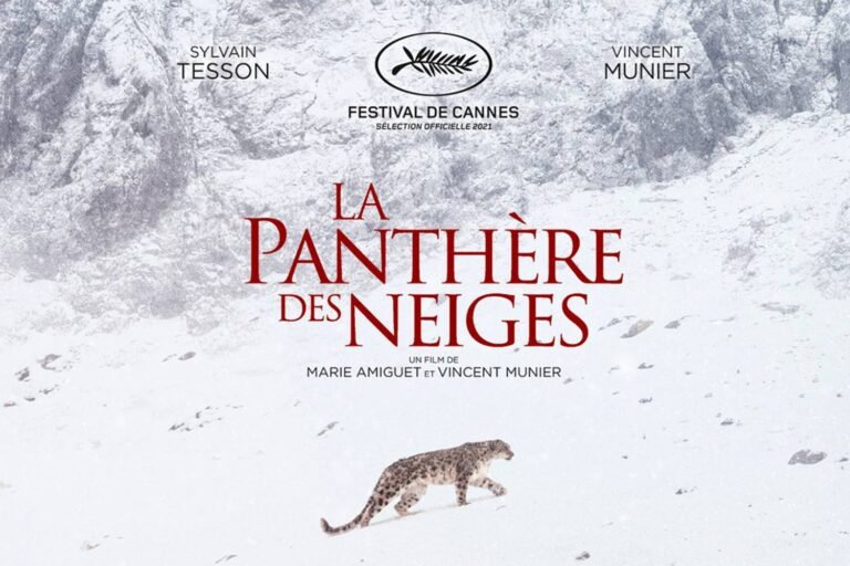 La Panthère des neiges