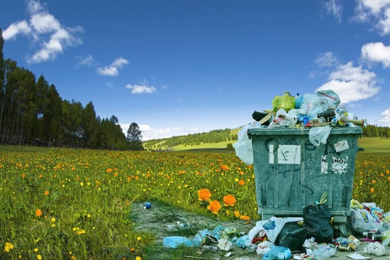 Gestion de vos déchets pour les 6 prochaines années