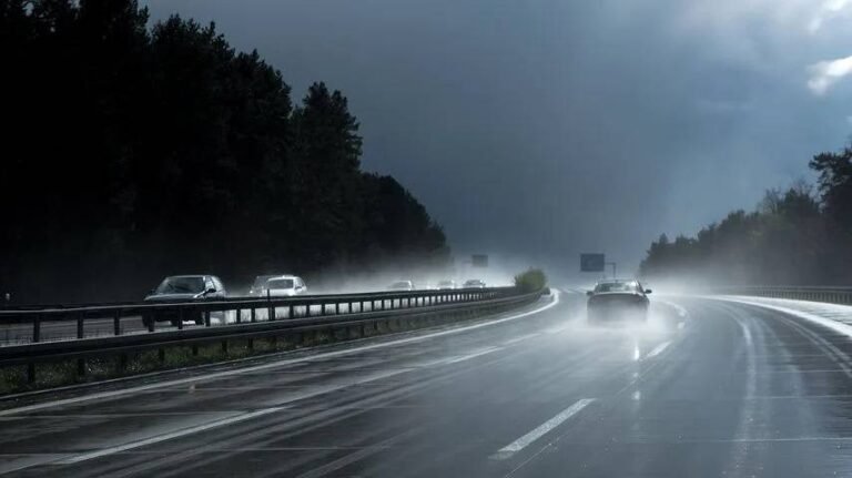 Autoroute A8 : élagage et travaux de réparation en urgence