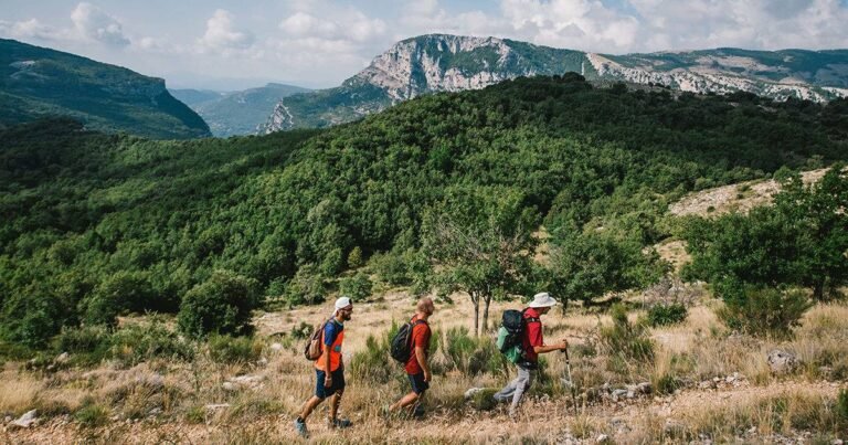 La marque « Valeurs Parc » : outil indispensable à l’épanouissement de nos Parcs régionaux