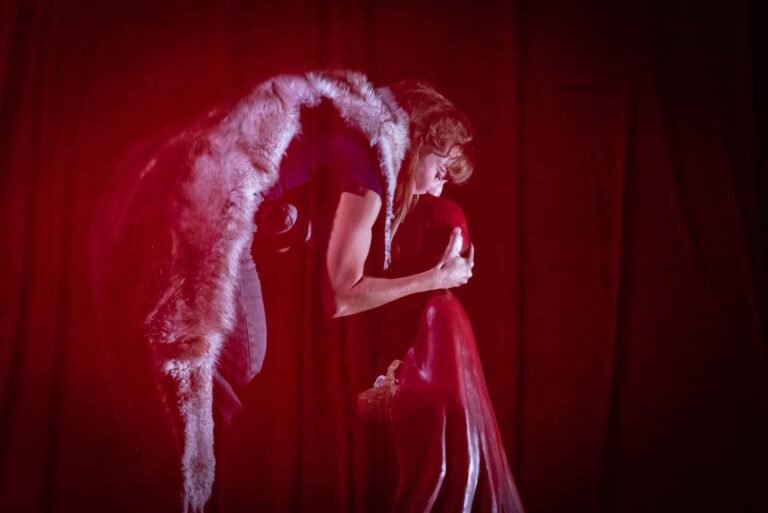 Le petit chaperon rouge