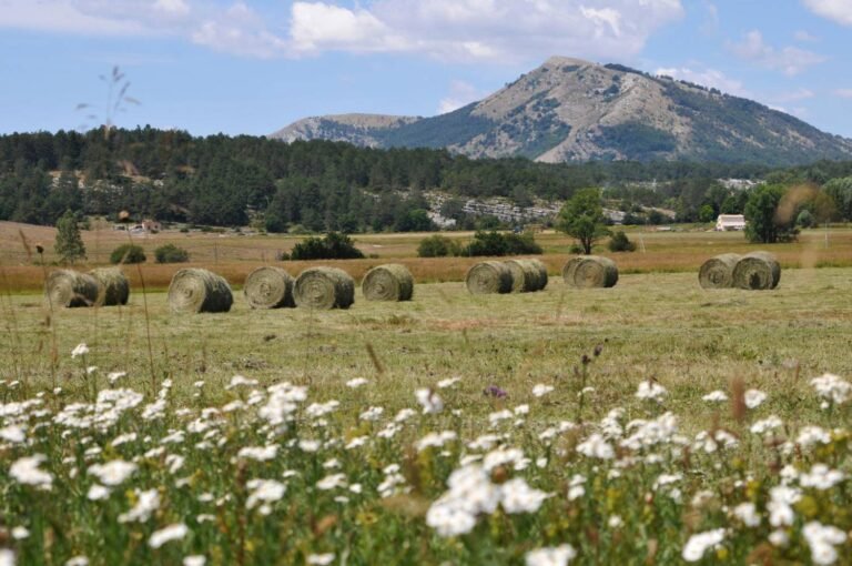 Échanges sur le bilan des actions du parc
