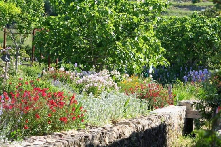 Les jardins remarquables du MIP…