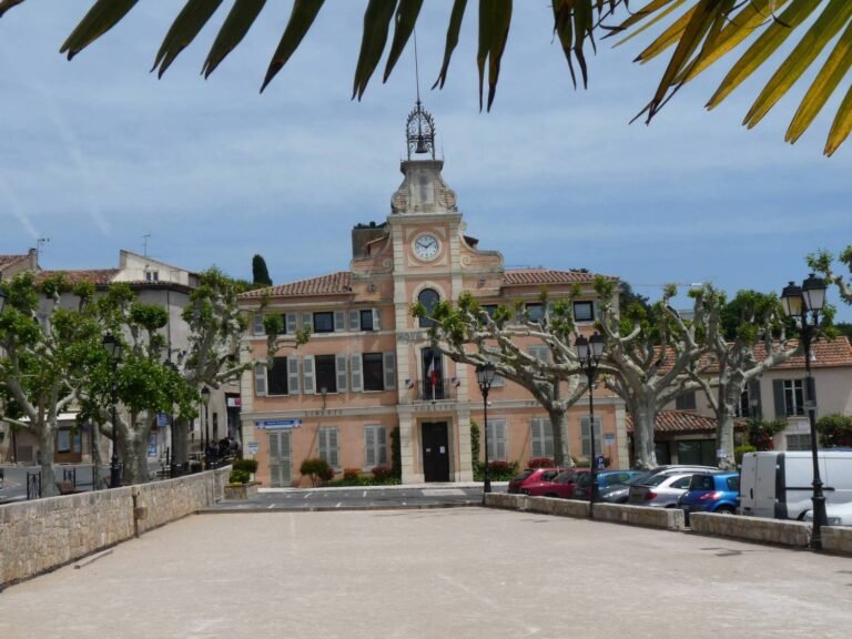 Le Marché de Montauroux