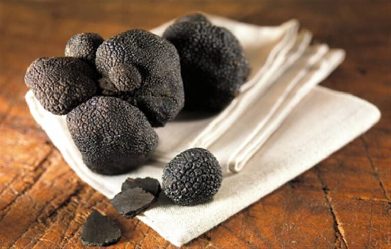 Marché de la Truffe