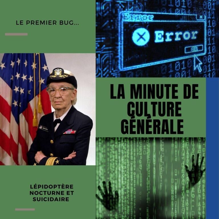 Le premier bug…