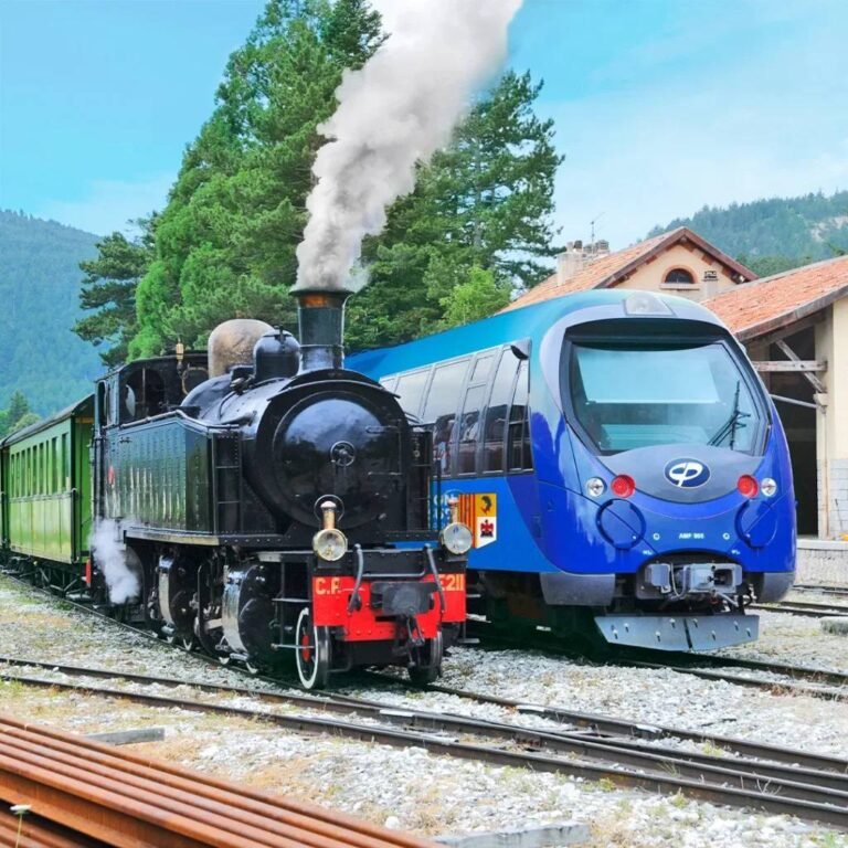 L&rsquo;histoire du Train des Pignes