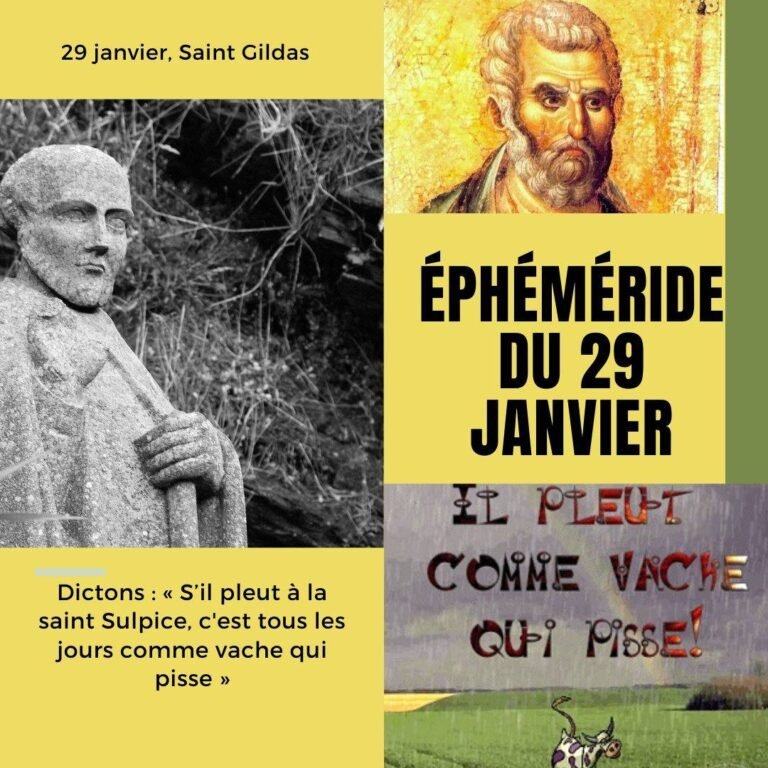 29 janvier, Saint Gildas