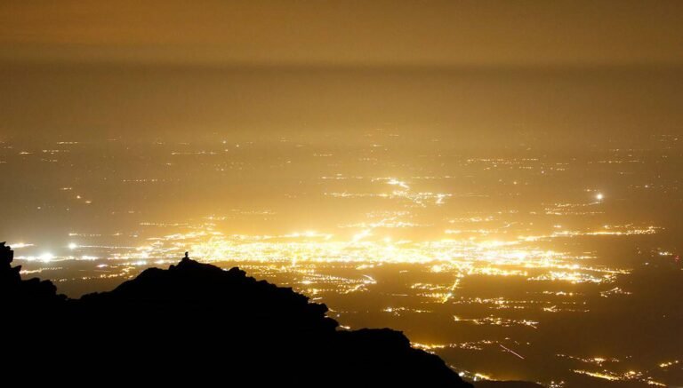 Les Nocturnes du Parc