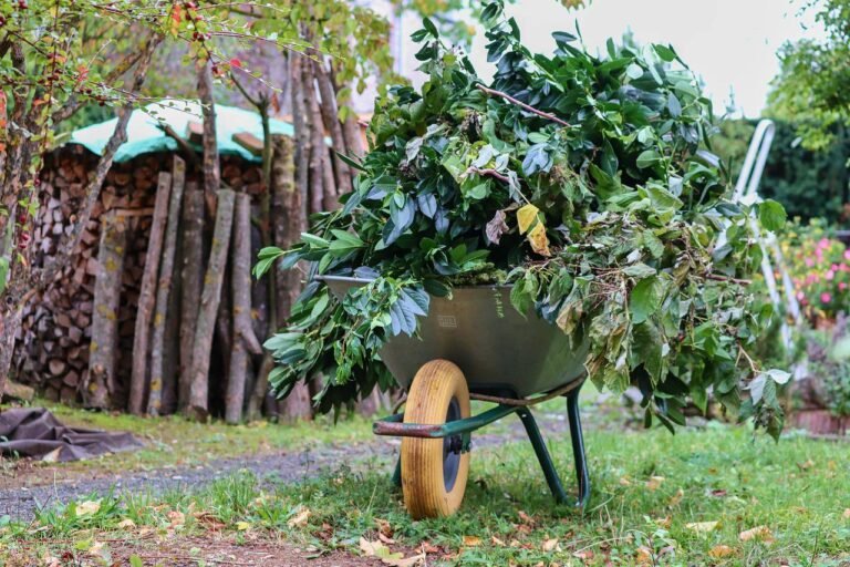 Formation au jardinage écologique