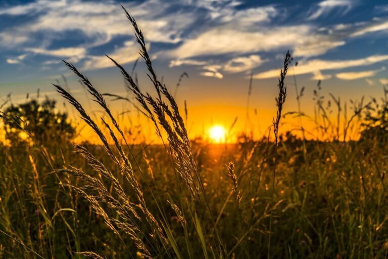 La voie du monde agricole