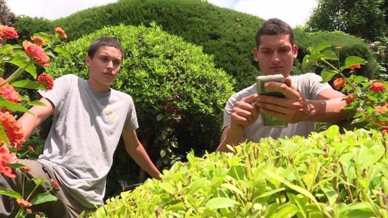 Job dating en ligne