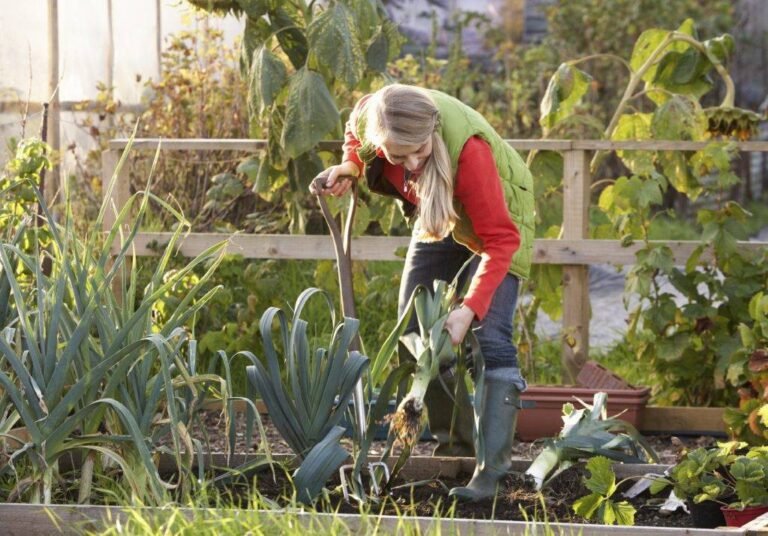 Journées de travail collectif dans les Jardins