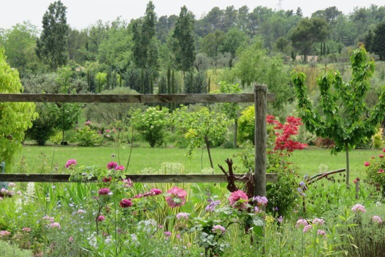 Nicole, Auteure de jardin