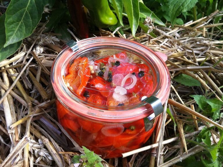 Verrine aux trois poivrons et fromage