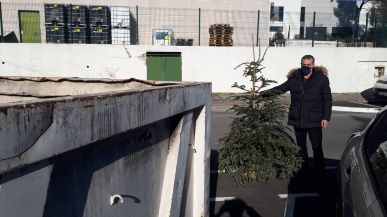 Les Entreprises des Bois de Grasse se mobilisent pour recycler les sapins de Noël
