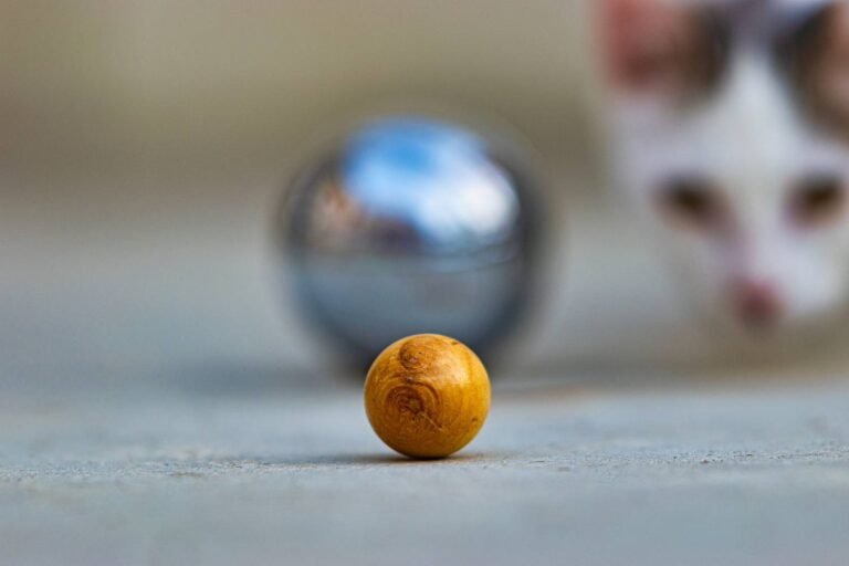 Concours de pétanque !