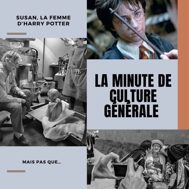 Susan, la femme d’Harry Potter