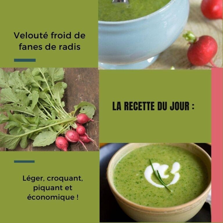 Velouté froid de fanes de radis