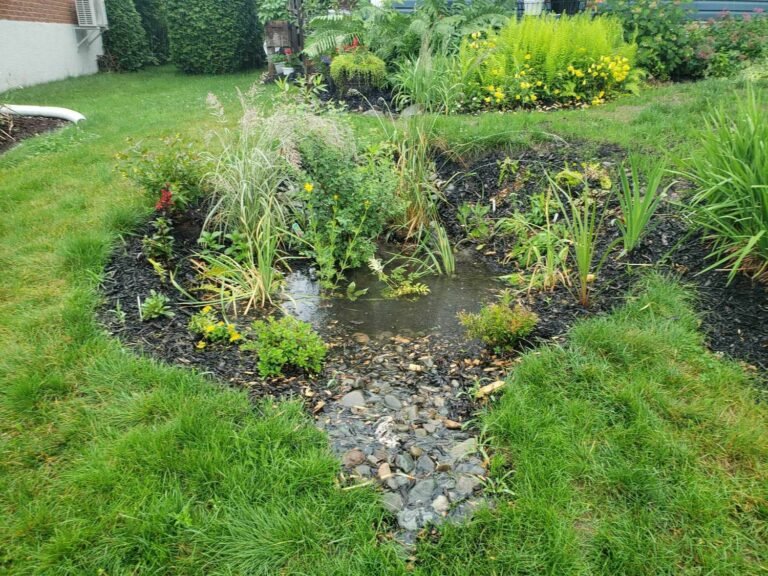 Un Jardin de Pluie pour la Gare de Grasse