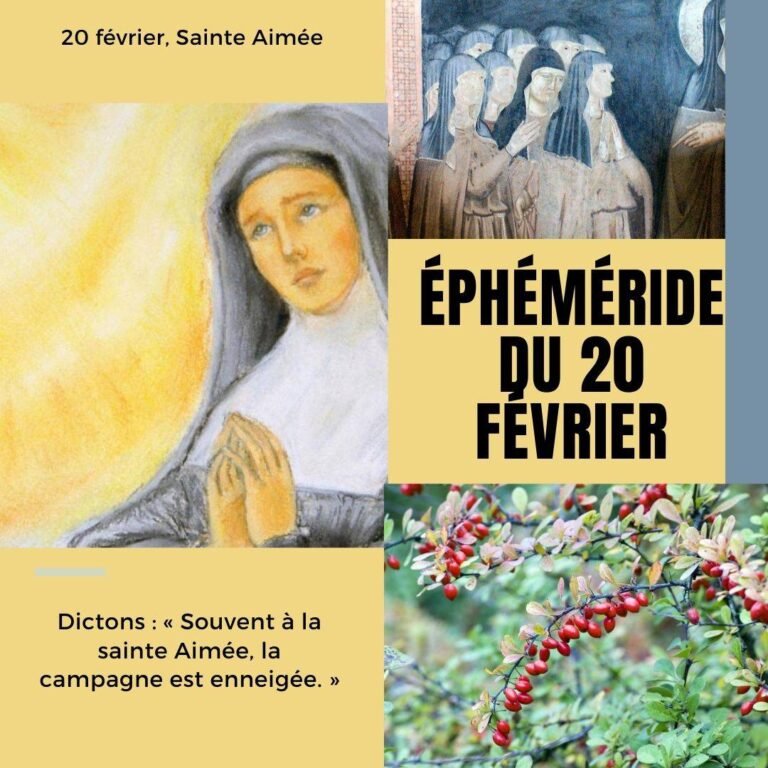 20 février, Sainte Aimée