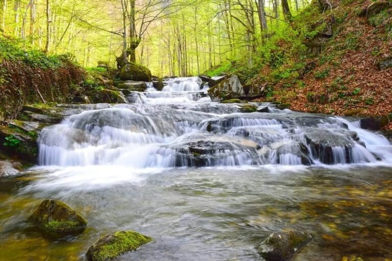 20 % de l&rsquo;eau potable fuit dans la nature