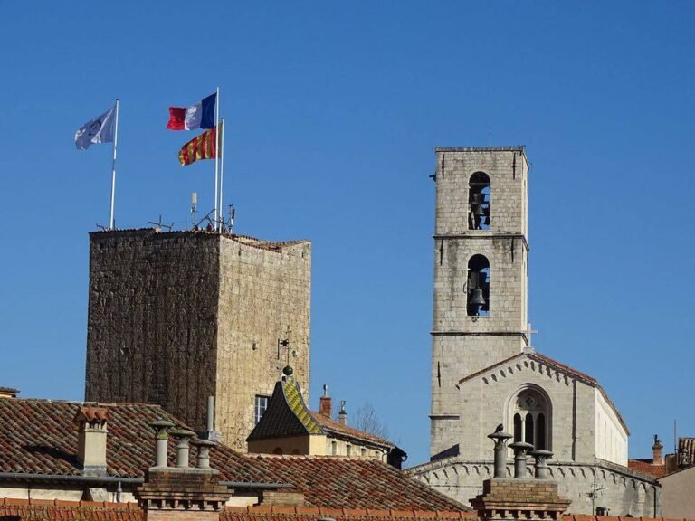 Visite découverte
