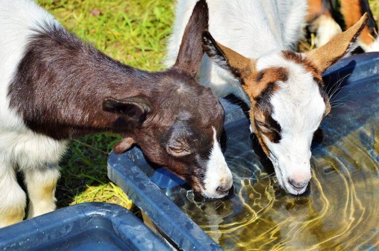 Une Réduction Historique du Prix de l&rsquo;Eau Agricole dans le Haut Pays Grasse