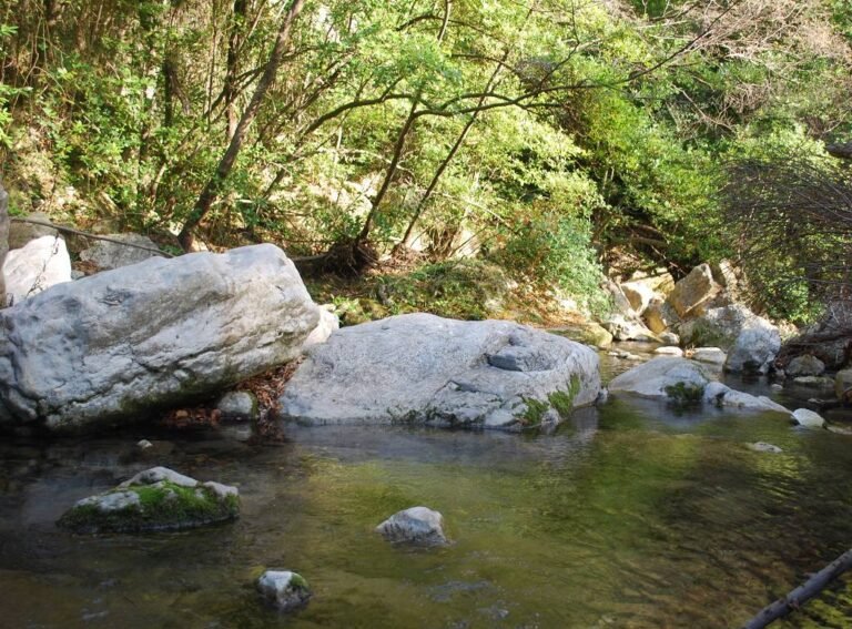 Sortie botanique au chemin du Riou