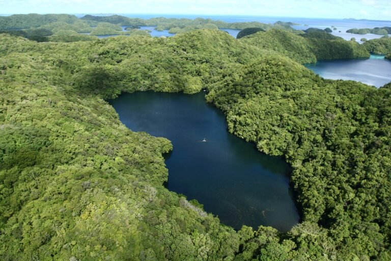 Le lac aux méduses