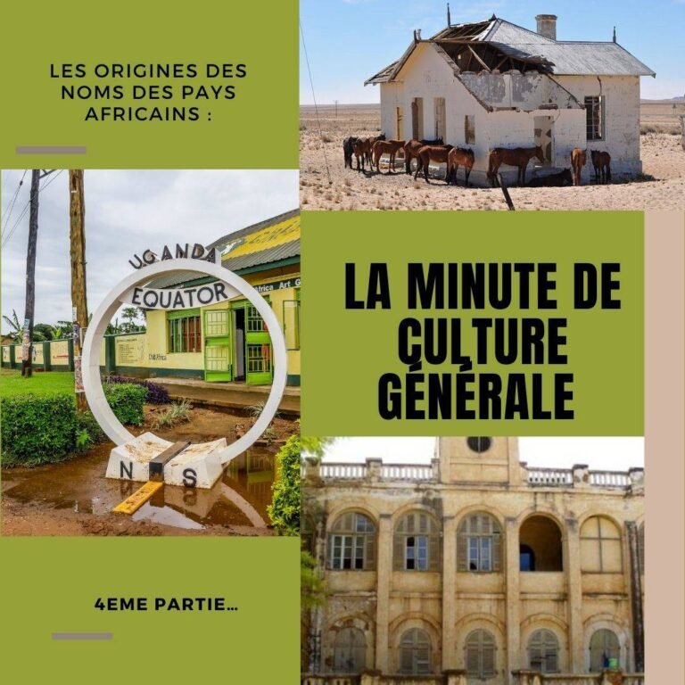 Les origines des noms des pays africains :